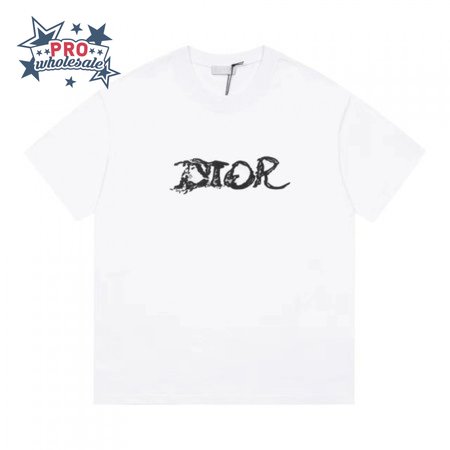 Dior Homme X Peter Doig Oversized Logo T-Shirt White