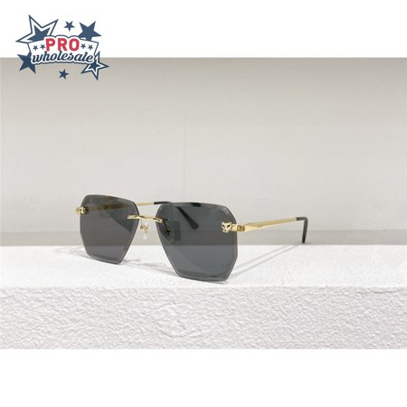 cartier CT0213 Sunglasses